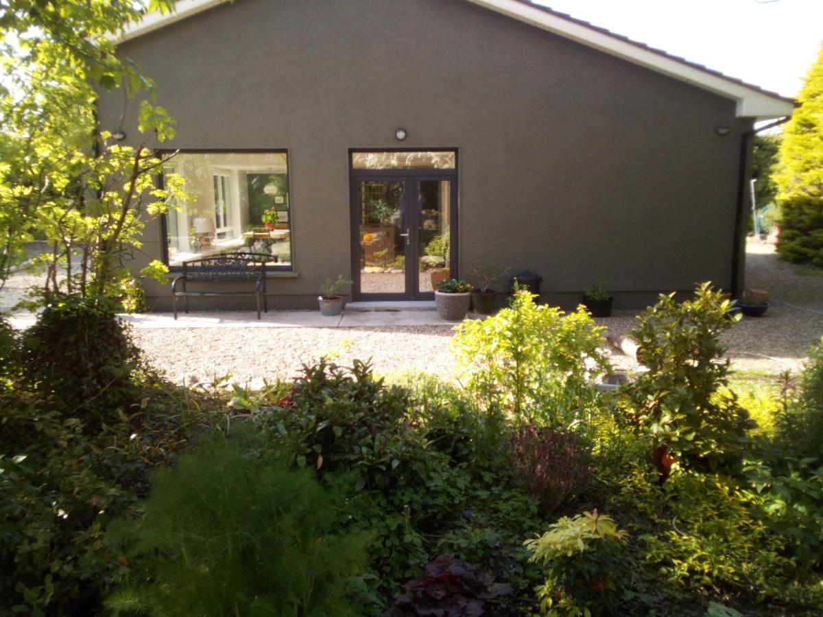 Spacious Contemporary Chalet Type Apartment. Galway Exterior foto