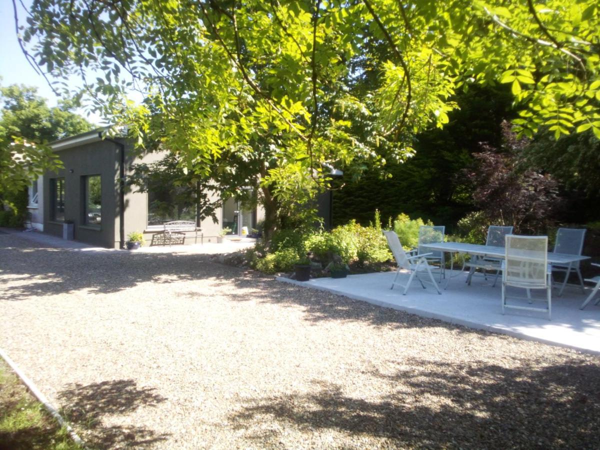 Spacious Contemporary Chalet Type Apartment. Galway Exterior foto