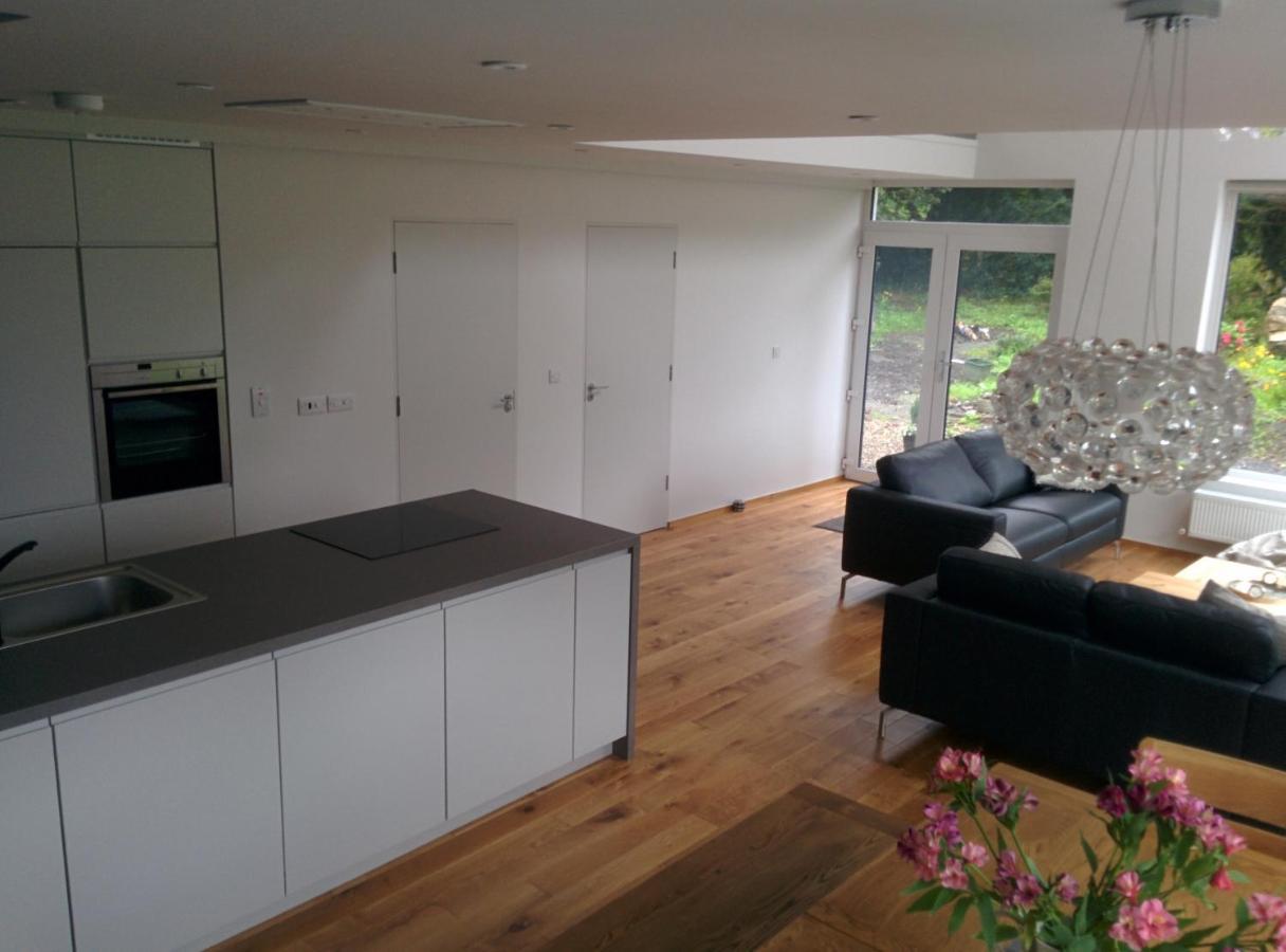 Spacious Contemporary Chalet Type Apartment. Galway Exterior foto